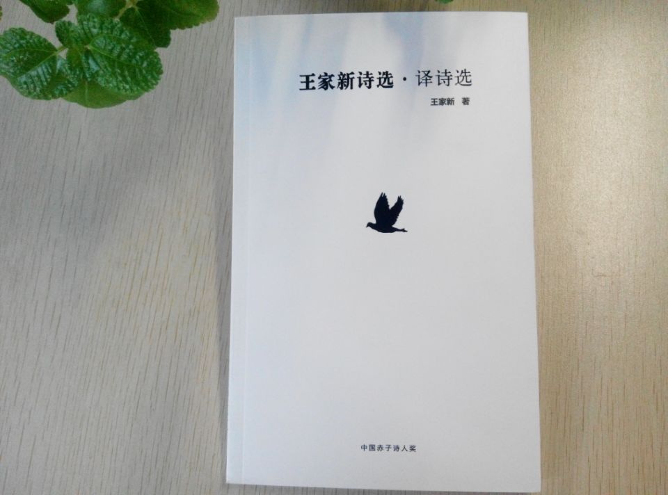 第二届赤子奖专号《王家新诗选·译诗选》